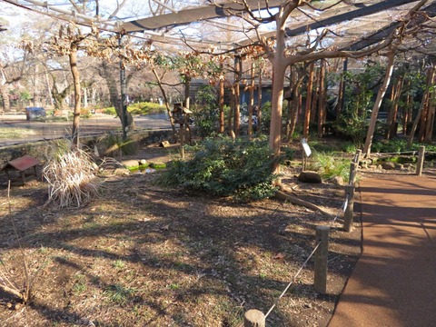 20180301152512_IMG_0162