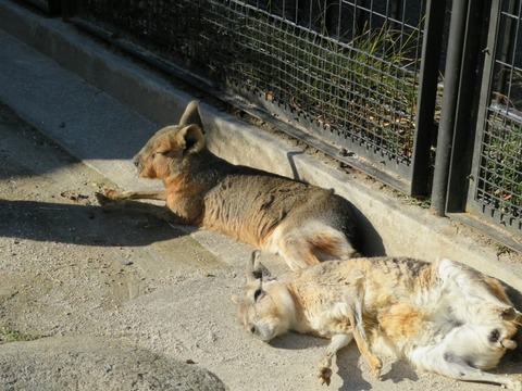 20180301151805_IMG_0145