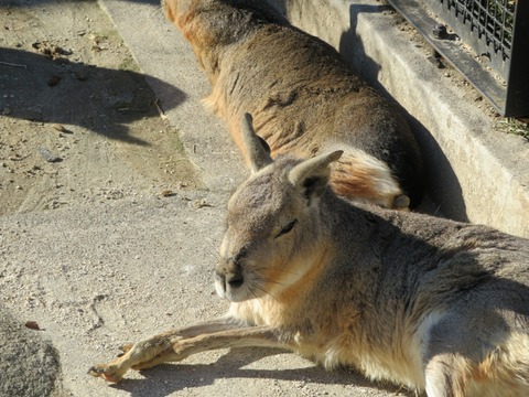 20180301151733_IMG_0142