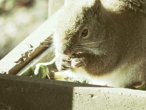 20180301152635_IMG_0182