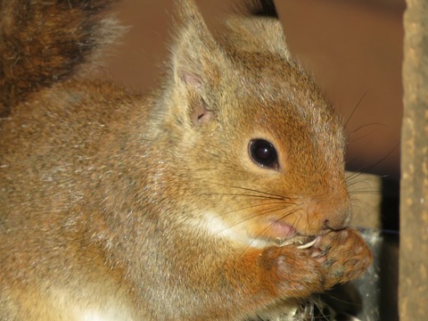 20180301153059_IMG_0194