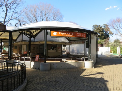 20180301151123_IMG_0120