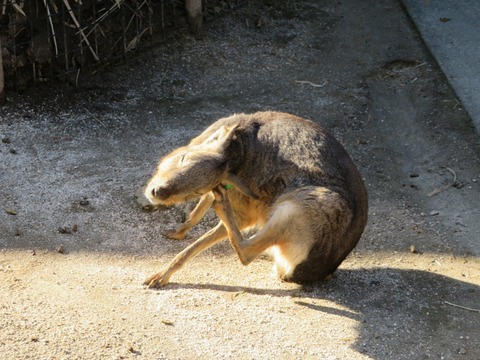 20180301151738_IMG_0143