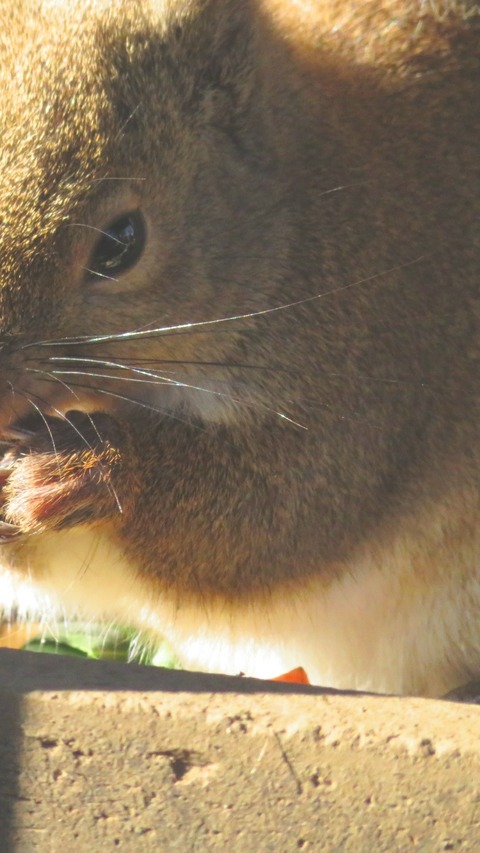 20180301152635_IMG_0180