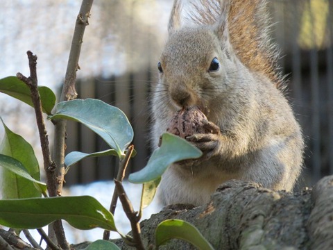 20180301152559_IMG_0169