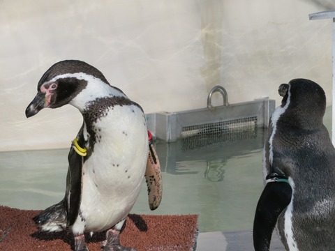 20180301151334_IMG_0129