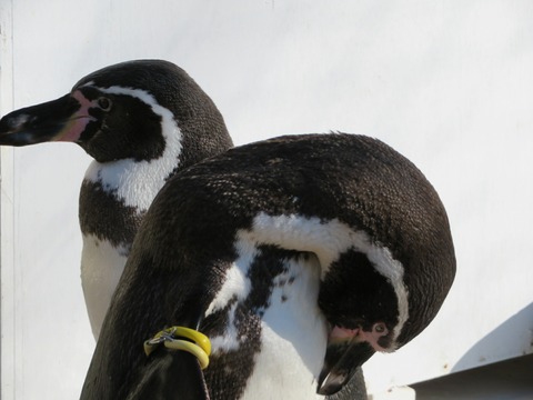 20180301151353_IMG_0131