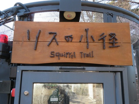 20180301152447_IMG_0161