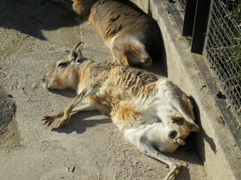 20180301151815_IMG_0146