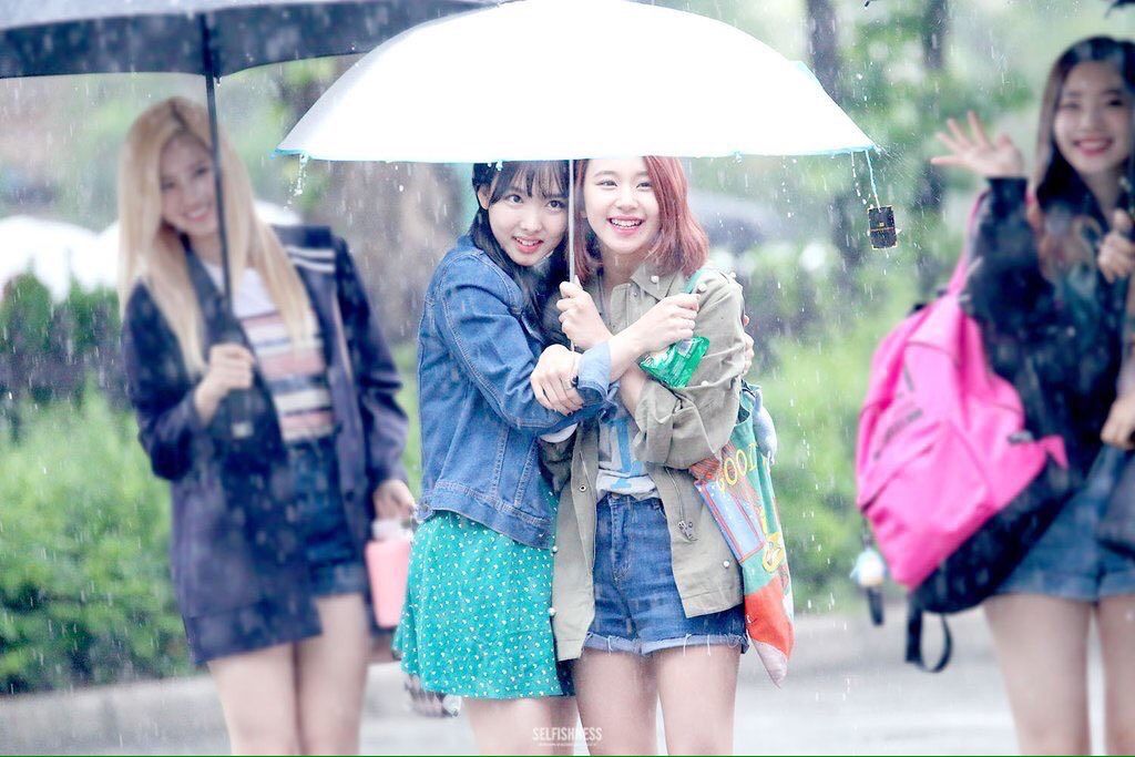 Twice ハイタッチ会が雨で中止になったら暴動ものだろおおおおお Twiceまとめ ワロタウン Twice ハイタッチ会が雨で中止になったら暴動ものだろおおおおお Twiceまとめ ワロタウン