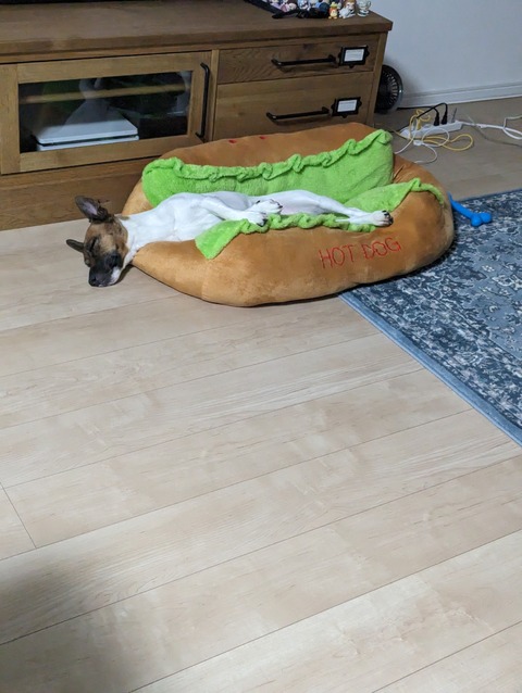 PXL_20230701_160642934