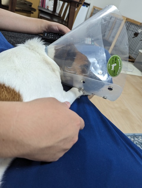 PXL_20230823_141050495