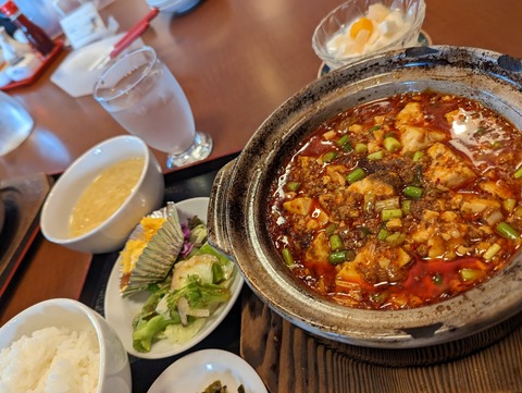 PXL_20230525_040928658