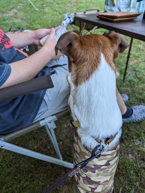 PXL_20230731_222827454