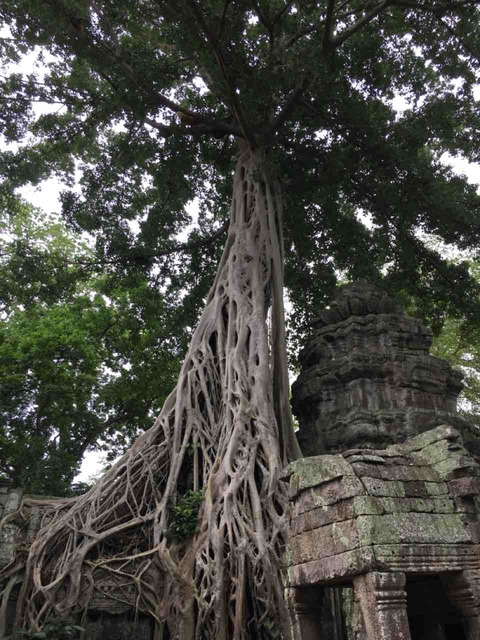 1AA70558-5929-41FA-B91A-F26FC800C3CC