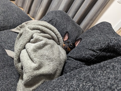 PXL_20230620_180525295