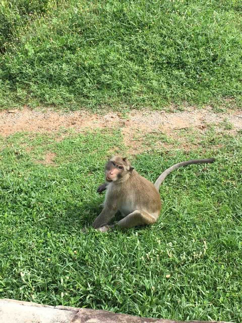 5CAFA826-6F93-4C1C-BB2E-65FC5CAE39D5