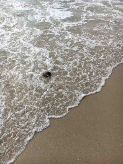 E6E5EE5D-D2BC-489E-8DA4-C9BA898A2DA3