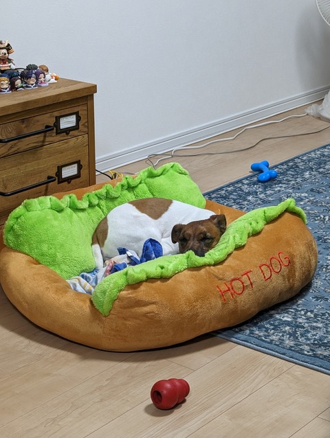 PXL_20230525_141225088