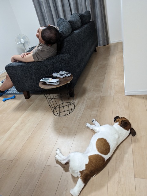 PXL_20230520_165759988