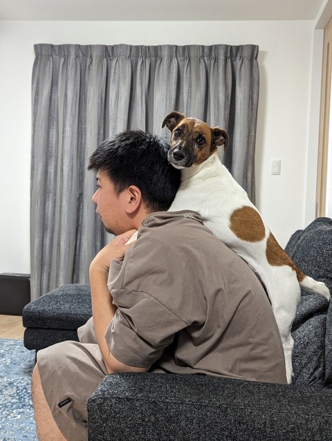 PXL_20230918_162444825