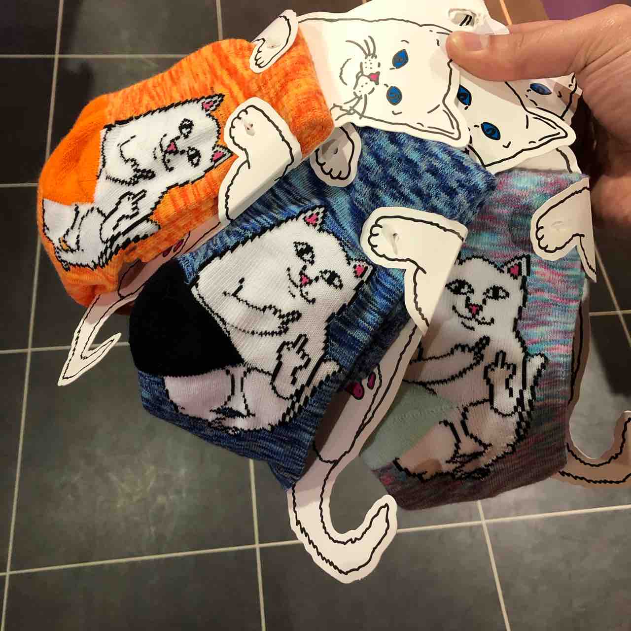 RIPNDIP】話題のあのネコ、、、ご存知ですかい!?【リップンディップ