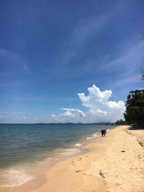 9A5436C3-01BA-4D4D-9FDE-F8403EDC395F