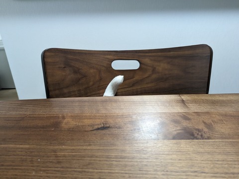 PXL_20230609_080209513