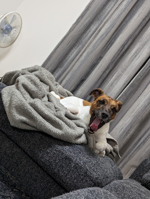 PXL_20231101_150942198