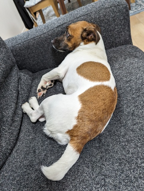 PXL_20231028_074336466