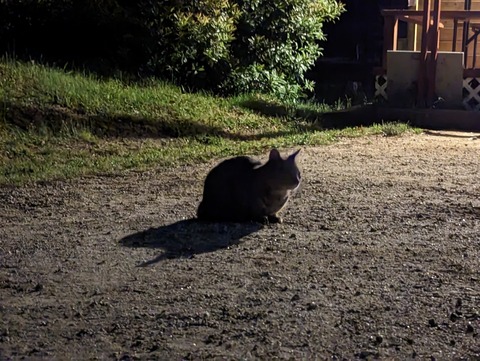 PXL_20230524_131549692