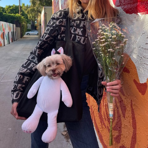 dogbag_0000_IMG_4042