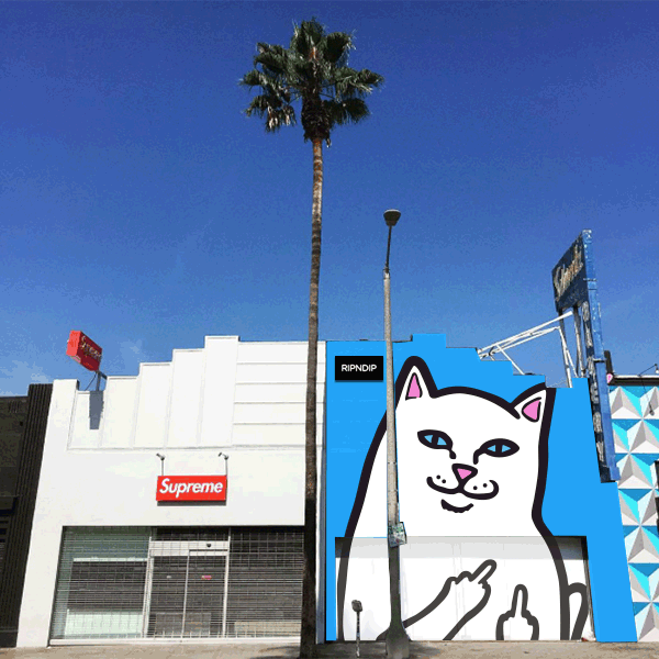 RIPNDIP】話題のあのネコ、、、ご存知ですかい!?【リップンディップ