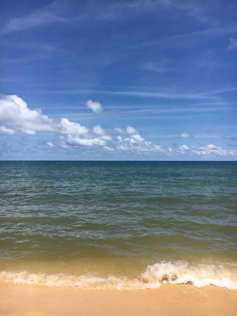 89E1DFB8-F0B3-482F-A399-5AA83A6555EF