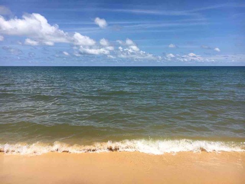 019A5123-E934-4589-B664-A4F3B4B906CF