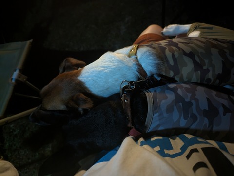 PXL_20230731_115600680