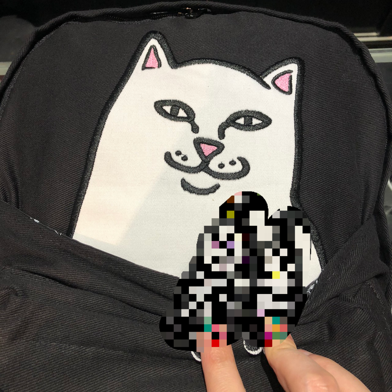 RIPNDIP】話題のあのネコ、、、ご存知ですかい!?【リップンディップ