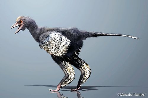 ジュラ紀の発見：古生物学者が鳥の進化に新たな化石の関連性を発見