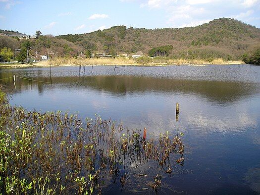 Midorogaoke1_Kyoto,JAPAN