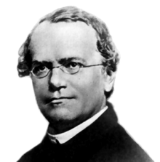 225px-Gregor_Mendel