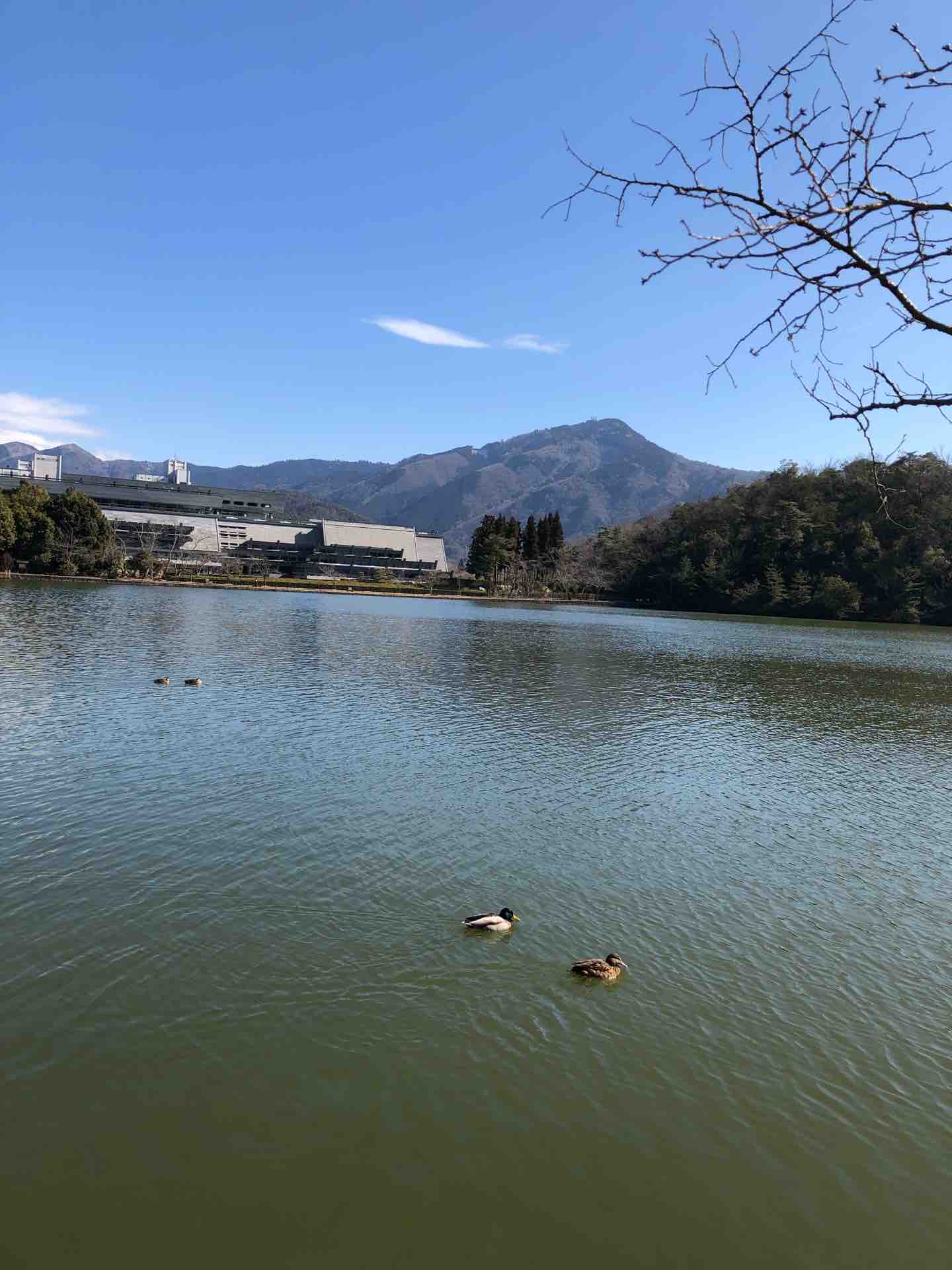 冬の宝ヶ池で心霊写真❓ : 店主雑談