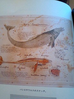 秘密の動物誌 追記 コック バシロサウルス 店主雑談 秘密の動物誌 追記 コック バシロサウルス 店主雑談