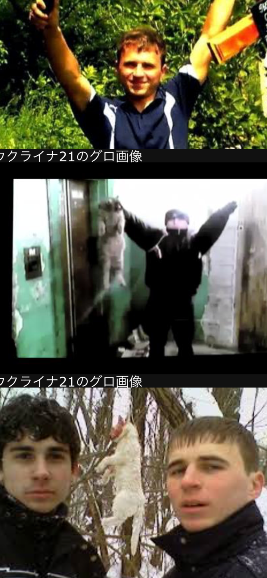 えらいもんみてもうたわ 店主雑談 えらいもんみてもうたわ 店主雑談