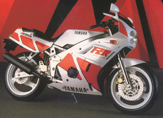 富士 R400 Exceptional weekend!:wasabiバイク道 FZ400R編