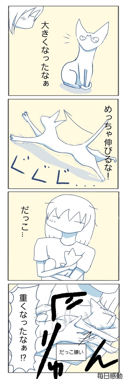無題72+12