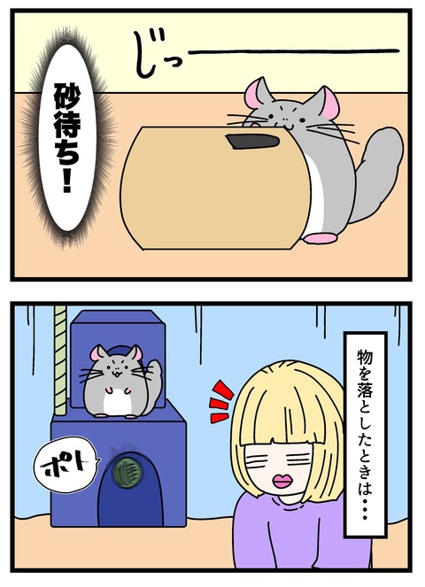 個展で入れたやつ_007 copy 3