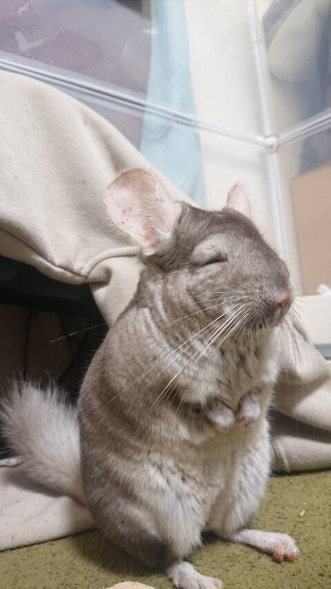 1D9EB00A-C107-433E-9247-F472F15A9286