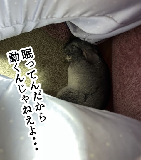 コミック66_046