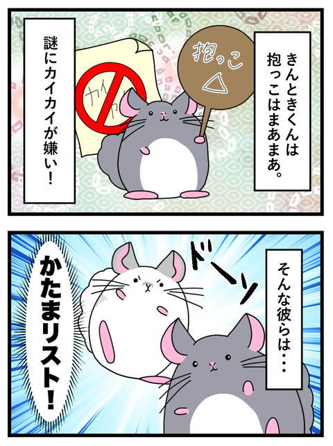 reおまめブラ_016