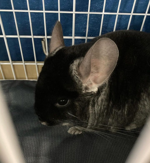 4AD5FAC0-5B72-4CB4-950C-F05C43570901